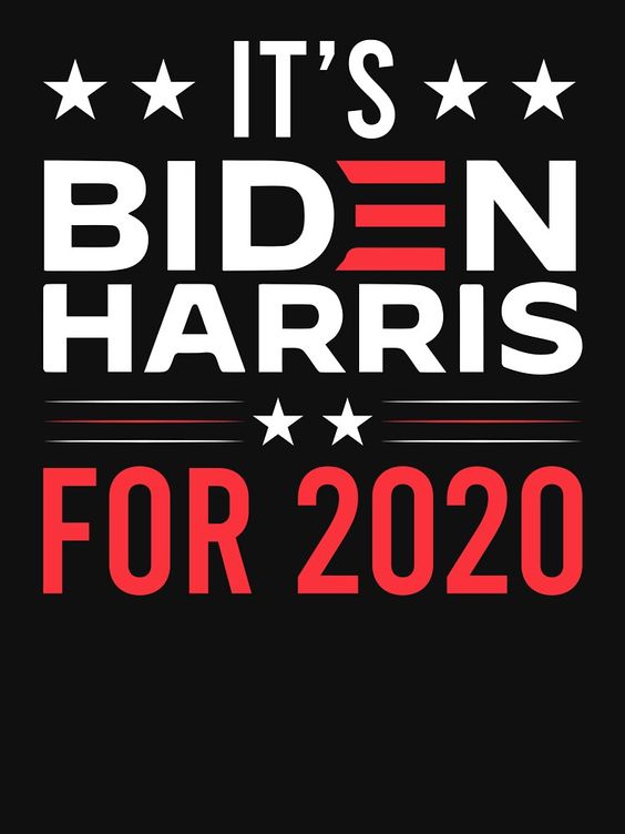 Vote Biden Harris 2020 Campaign Poster